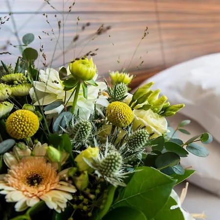 מלון Logis Les Sables D'or - Institut De Beaute