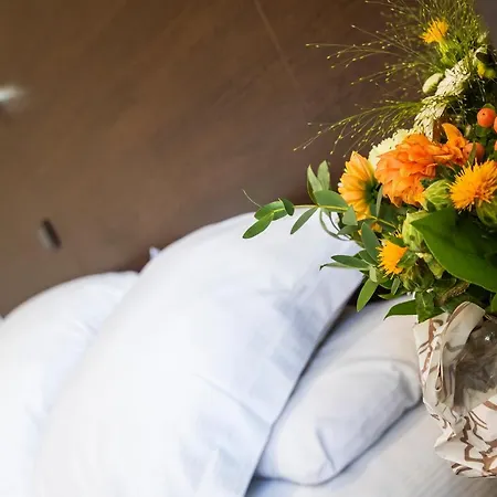 Logis Les Sables D'or - Institut De Beaute Hotel 2*